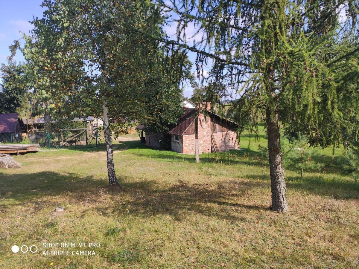 Dzika Zagroda Dziemiany Dış mekan fotoğraf